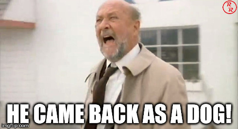 When watching this series, I wondered how great it would be if Michael Myers ever returned as something other than human. This is from my proposed sequel: Halloween Dog.