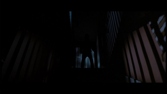 In the ending credits to the first film, Michael Myers is referred to as "the Shape." While other movies in the series would follow suit, this is the only film where the title really works - due in large part to Carpenter's directing style. 