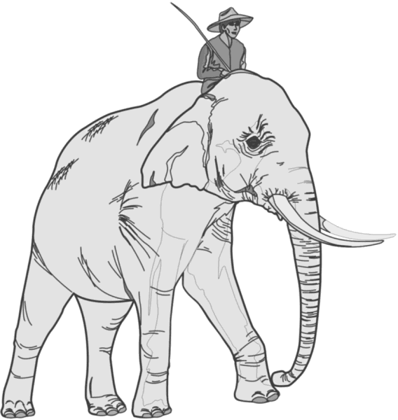 elephant_with_rider