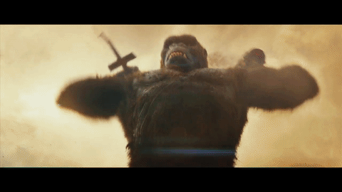 king-kong-gif-king-kong-40028789-480-270